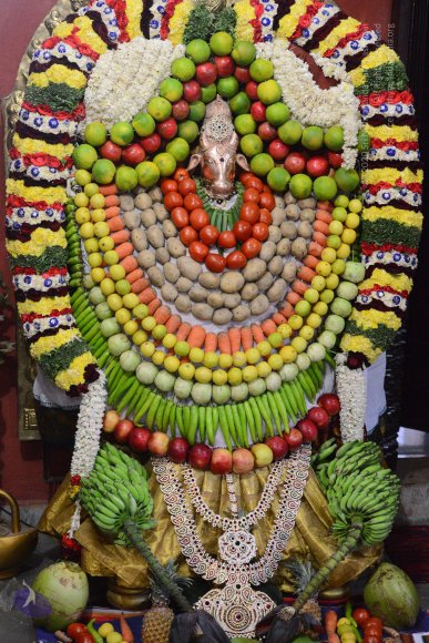 20170115_Photo_1013_DSC_8257_CMP_WM