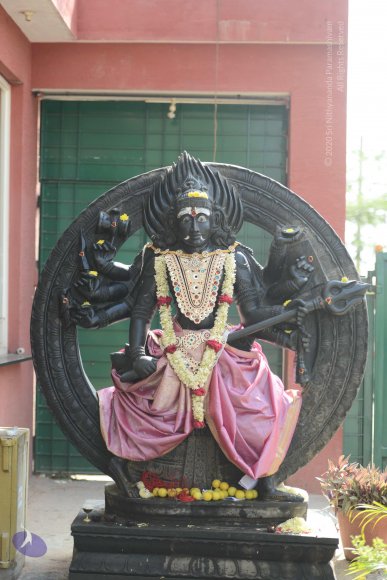 20170115_Photo_1035_DSC_9345_CMP_WM