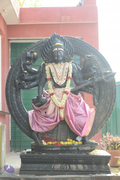 20170115_Photo_1044_DSC_9354_CMP_WM