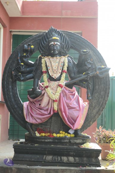 20170115_Photo_1048_DSC_9358_CMP_WM