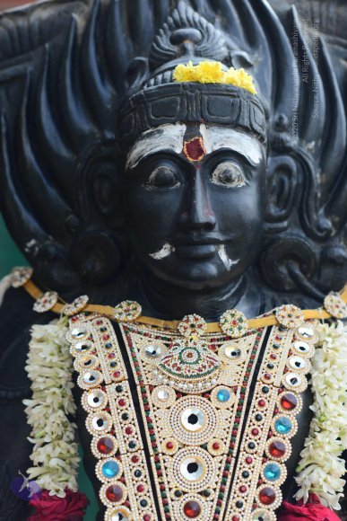 20170115_Photo_1060_DSC_9370_CMP_WM