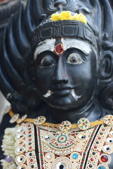 20170115_Photo_1061_DSC_9371_CMP_WM