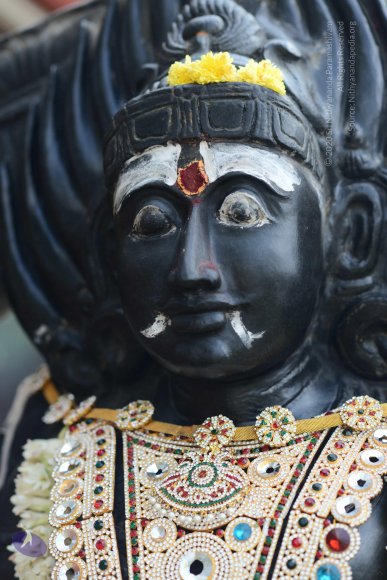 20170115_Photo_1066_DSC_9376_CMP_WM