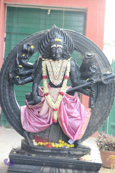 20170115_Photo_1073_DSC_9383_CMP_WM