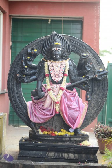 20170115_Photo_1083_DSC_9393_CMP_WM