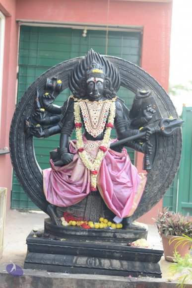 20170115_Photo_1094_DSC_9404_CMP_WM