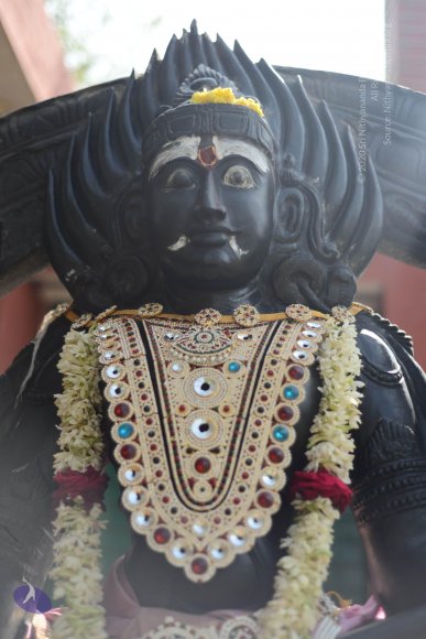 20170115_Photo_1113_DSC_9423_CMP_WM