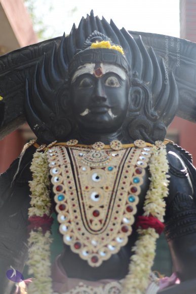 20170115_Photo_1116_DSC_9426_CMP_WM