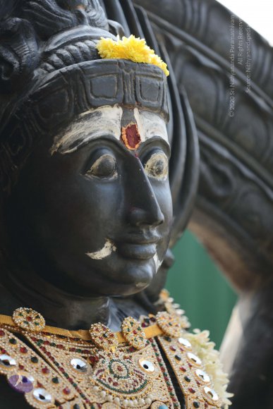 20170115_Photo_1127_DSC_9438_CMP_WM