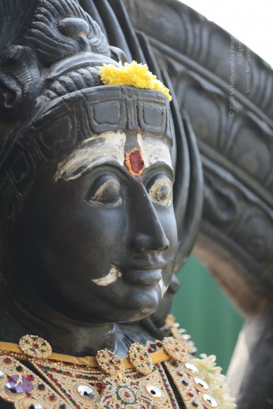 20170115_Photo_1130_DSC_9441_CMP_WM