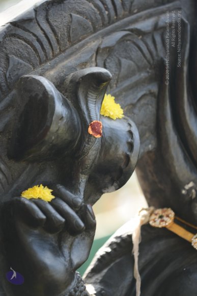 20170115_Photo_1134_DSC_9446_CMP_WM