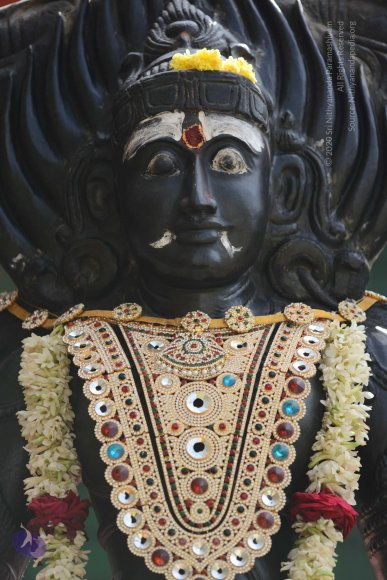 20170115_Photo_1152_DSC_9464_CMP_WM