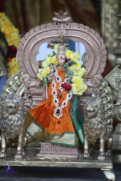 20170115_Photo_1156_IMG_8357_CMP_WM