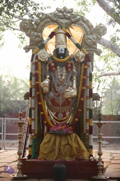 20170115_Photo_1162_IMG_8372_CMP_WM