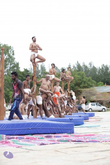 20170708_Photo_1010_IMG_0545_CMP_WM