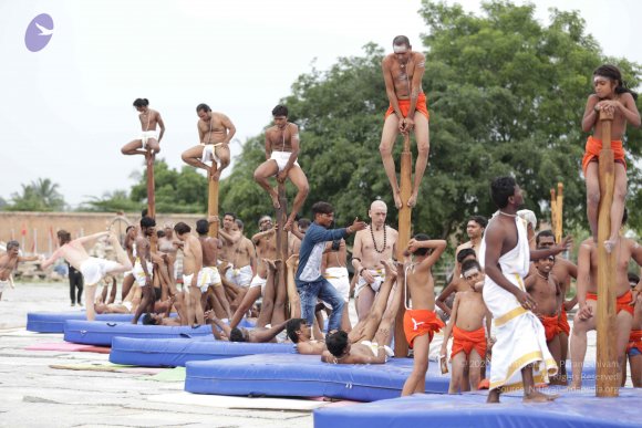 20170708_Photo_1021_IMG_0572_CMP_WM