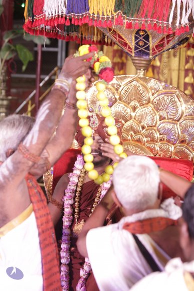 20170708_Photo_1043_IMG_0964_CMP_WM