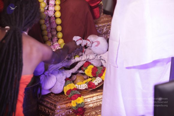 20170708_Photo_1048_IMG_0978_CMP_WM