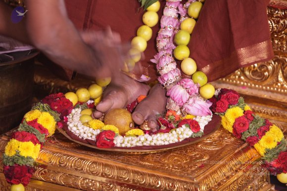 20170708_Photo_1062_IMG_1061_CMP_WM