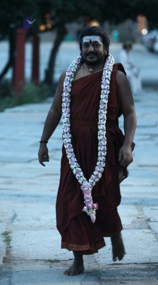 20170717_Photo_1002_IMG_6327_CMP_WM