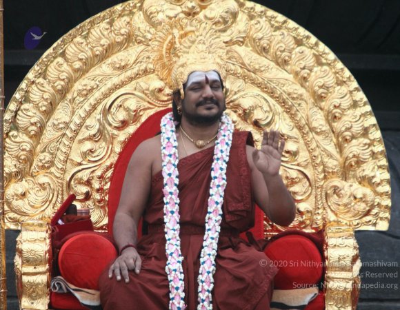 20170717_Photo_1016_IMG_6374_CMP_WM