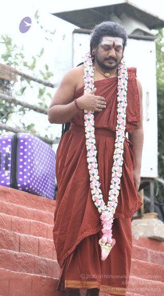 20170717_Photo_1030_IMG_6476_CMP_WM