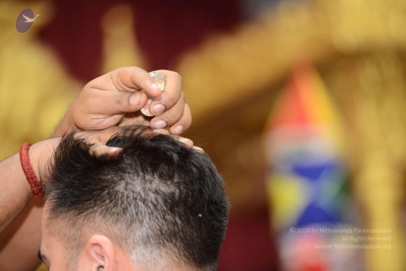 20170304_Photo_1029_DSC_3982_CMP_WM