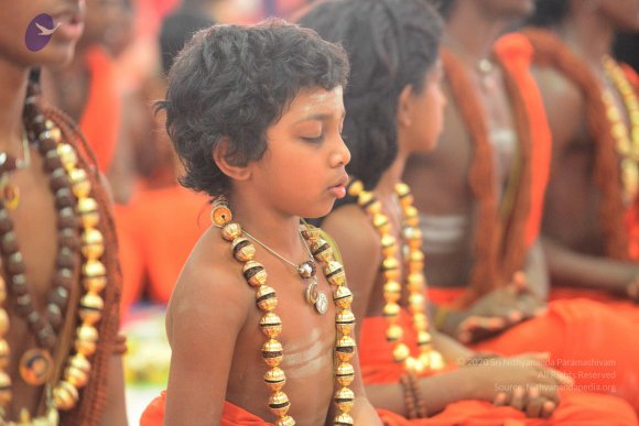 20170314_Photo_1009_DSC_0412_CMP_WM