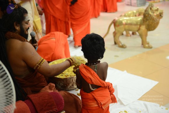 20170314_Photo_1057_DSC_0540_CMP_WM