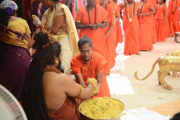 20170314_Photo_1058_DSC_0541_CMP_WM