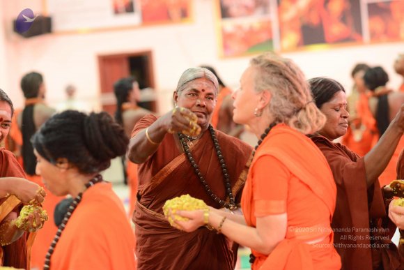 20170314_Photo_1062_DSC_0559_CMP_WM