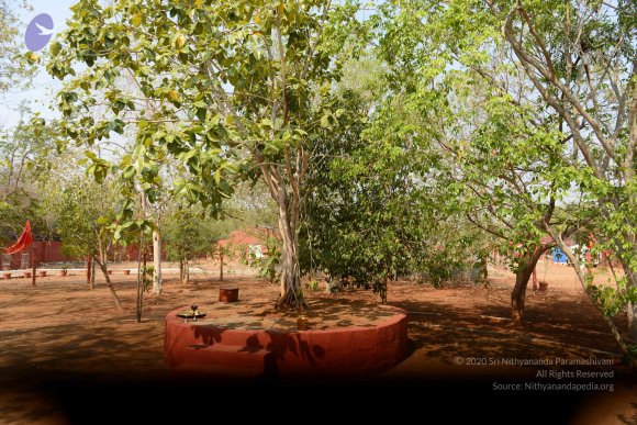 01-THIRUVANNAMALAI-ARRIVAL_Photo_1010_DSC_8175_CMP_WM