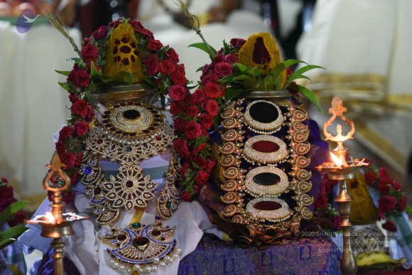 20170502_Photo_1002_DSC_5237_CMP_WM