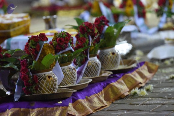 20170502_Photo_1003_DSC_5240_CMP_WM