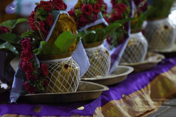 20170502_Photo_1004_DSC_5243_CMP_WM