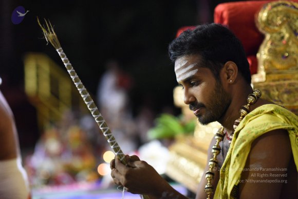 20170502_Photo_1010_DSC_5297_CMP_WM