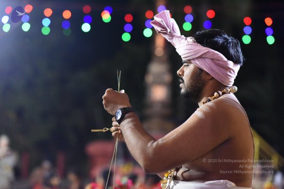 20170502_Photo_1012_DSC_5302_CMP_WM