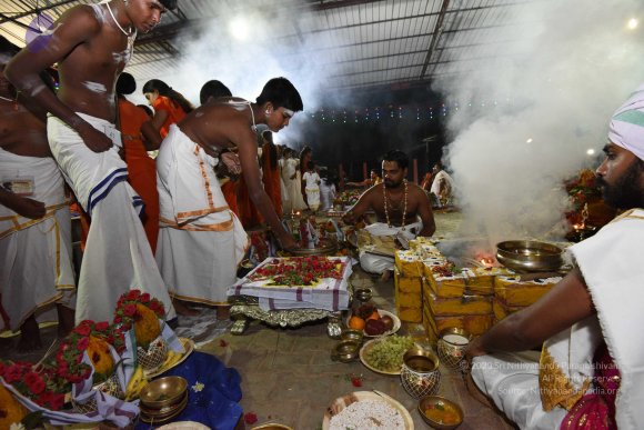 20170502_Photo_1044_DSC_5455_CMP_WM