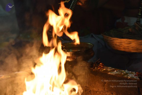 20170502_Photo_1118_DSC_5639_CMP_WM