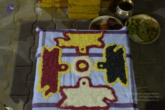 20170502_Photo_1020_DSC_5217_CMP_WM