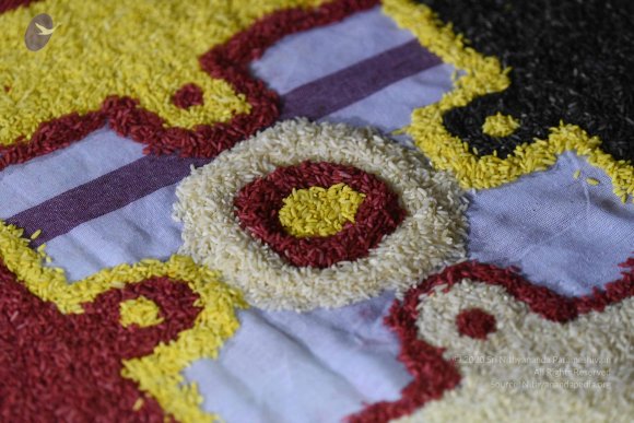 20170502_Photo_1025_DSC_5229_CMP_WM