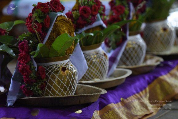 20170502_Photo_1028_DSC_5242_CMP_WM