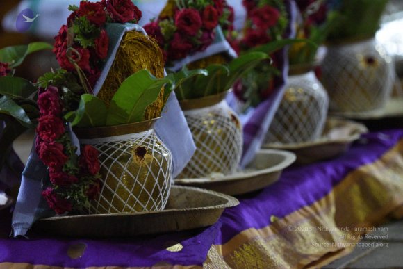 20170502_Photo_1029_DSC_5244_CMP_WM