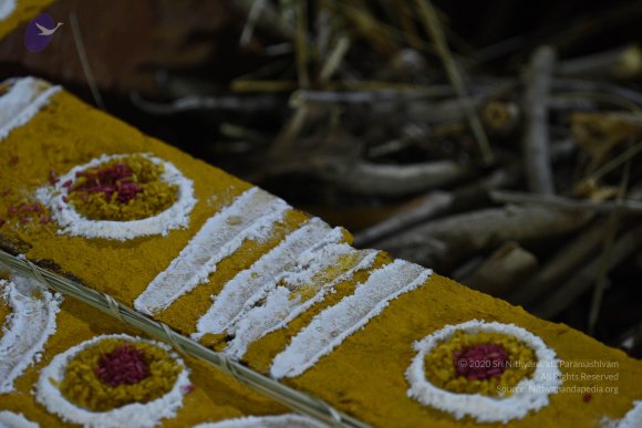 20170502_Photo_1031_DSC_5249_CMP_WM