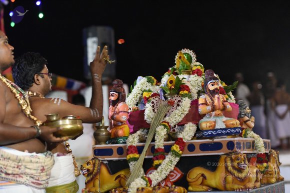 20170502_Photo_1037_DSC_5285_CMP_WM