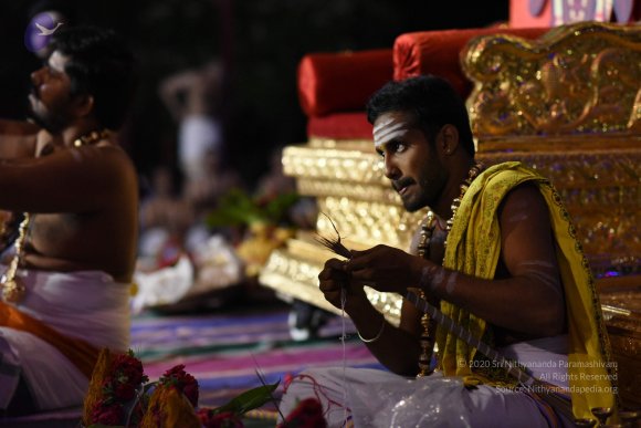 20170502_Photo_1040_DSC_5294_CMP_WM