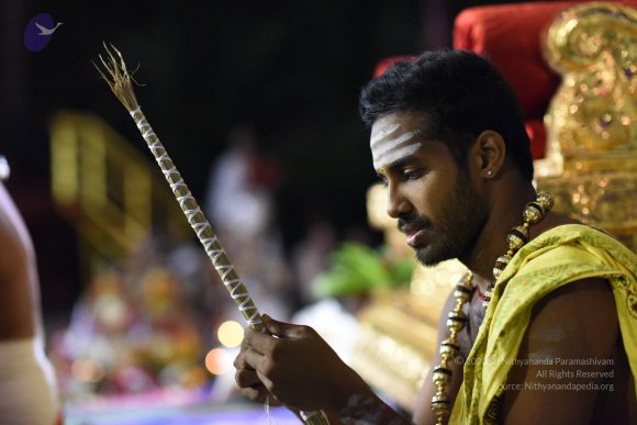 20170502_Photo_1041_DSC_5296_CMP_WM