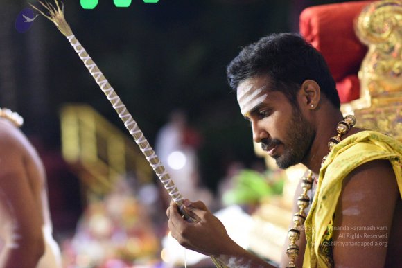 20170502_Photo_1043_DSC_5299_CMP_WM