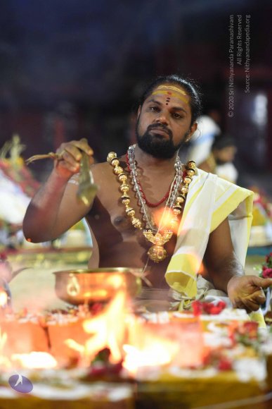 20170502_Photo_1051_DSC_5326_CMP_WM