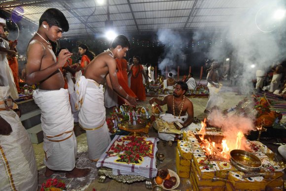 20170502_Photo_1093_DSC_5466_CMP_WM